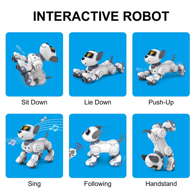 Remote Control Toy Kids, Interactive Touch Follow Dog Pet With Sing Dance, Programmable Intelligent Robot Toys For Girls_voghion.com